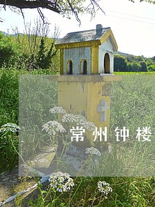 常州钟楼法院周洁
