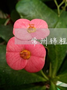 常州锦程法律咨询服务 常州锦程法律咨询服务