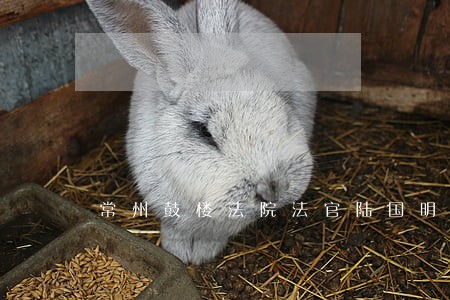 常州鼓楼法院法官陆国明