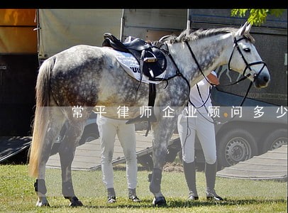 常平律师企业顾问多少钱 常平律师企业顾问多少钱