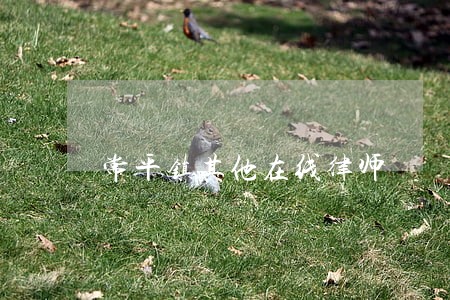 常平镇其他在线律师 常平镇其他在线律师