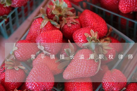 常平镇擅长滥用职权律师