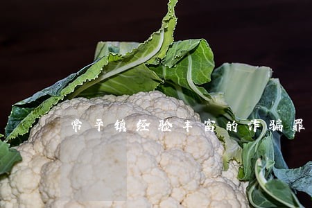 常平镇经验丰富的诈骗罪律师 常平镇经验丰富的诈骗罪律师