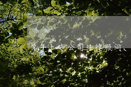 常年上市公司法律顾问 常年上市公司法律顾问