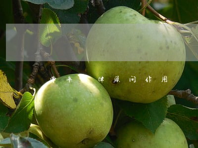 常年法律顾问作用 常年法律顾问作用