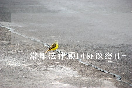 常年法律顾问协议终止 常年法律顾问协议终止