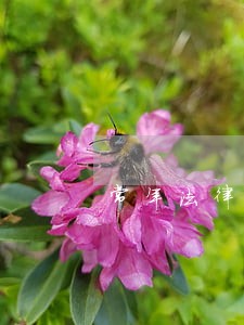 常年法律顾问合同 常年法律顾问合同