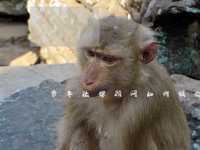 常年法律顾问如何报价