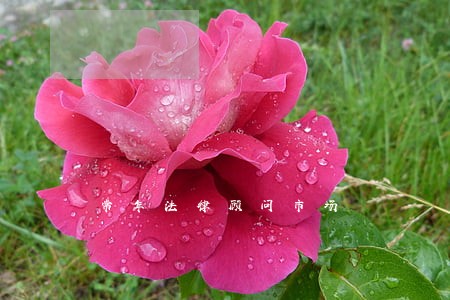 常年法律顾问市场 常年法律顾问市场