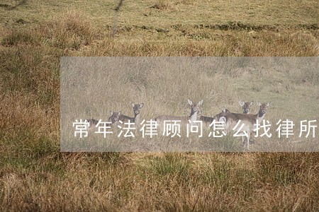 常年法律顾问怎么找律所