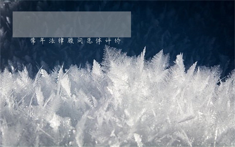 常年法律顾问总体评价 常年法律顾问总体评价