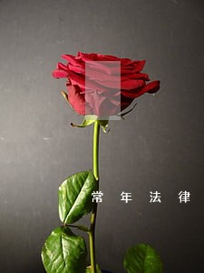 常年法律顾问意向书 常年法律顾问意向书