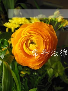 常年法律顾问打官司价格 常年法律顾问打官司价格