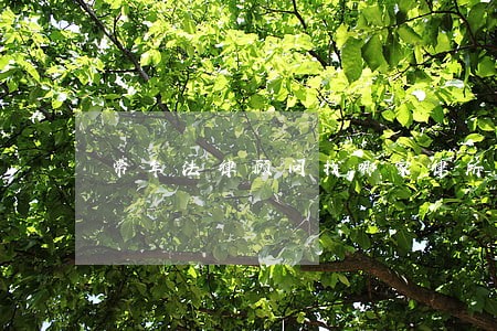 常年法律顾问找哪家律所 常年法律顾问找哪家律所