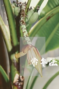 常年法律顾问报价评分表 常年法律顾问报价评分表