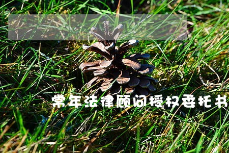 常年法律顾问授权委托书 常年法律顾问授权委托书