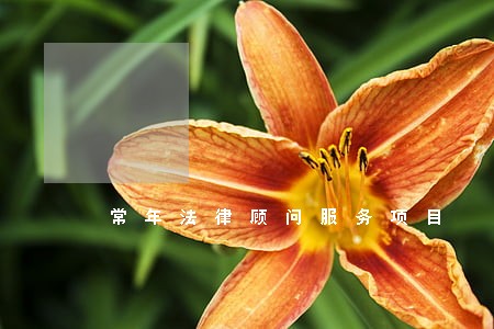 常年法律顾问服务项目 常年法律顾问服务项目