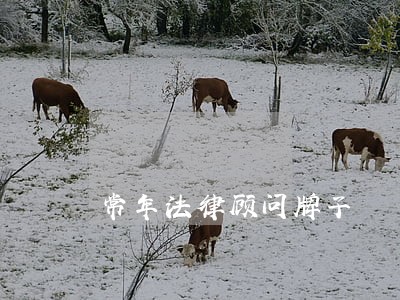 常年法律顾问牌子 常年法律顾问牌子