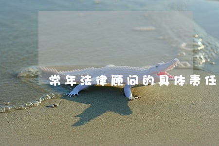 常年法律顾问的具体责任 常年法律顾问的具体责任