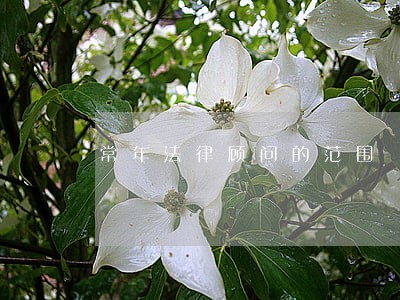 常年法律顾问的范围 常年法律顾问的范围
