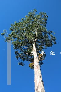 常年法律顾问聘任方案