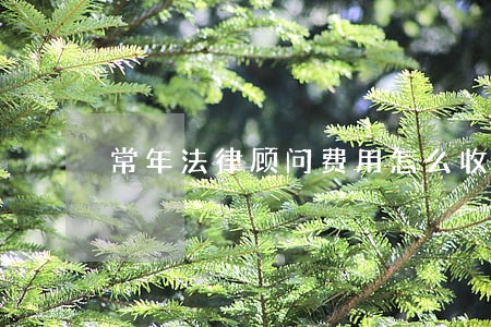 常年法律顾问费用怎么收 常年法律顾问费用怎么收
