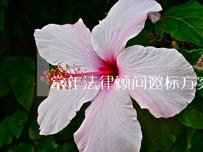常年法律顾问邀标方案 常年法律顾问邀标方案