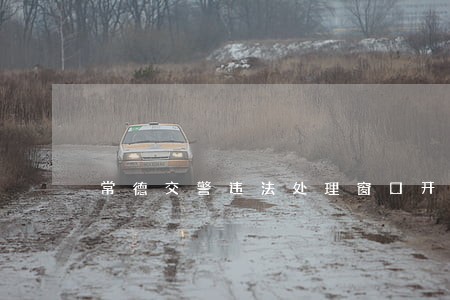 常德交警违法处理窗口开放 常德交警违法处理窗口开放