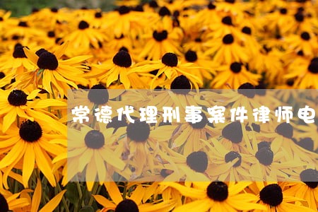 常德代理刑事案件律师电话咨询