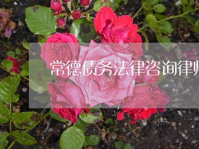 常德债务法律咨询律师在线 常德债务法律咨询律师在线