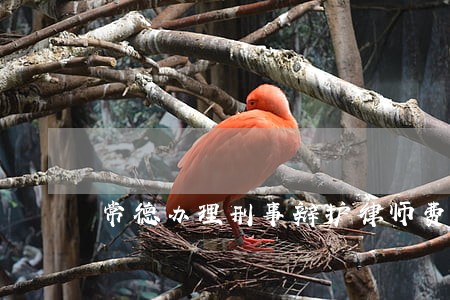 常德办理刑事辩护律师费用咨询