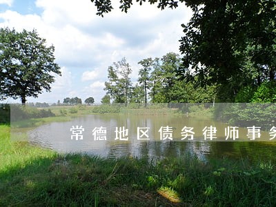 常德地区债务律师事务所 常德地区债务律师事务所