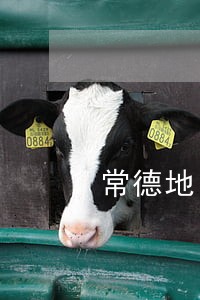 常德地区债务律师电话 常德地区债务律师电话