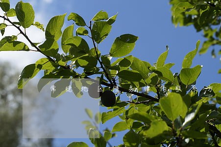 常德地区债务律师联系方式 常德地区债务律师联系方式