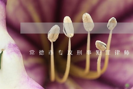 常德市专攻刑事犯罪律师 常德市专攻刑事犯罪律师