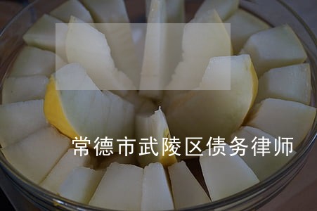 常德市武陵区债务律师 常德市武陵区债务律师