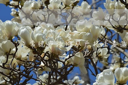 常德市法院从严打击毒品犯罪 常德市法院从严打击毒品犯罪