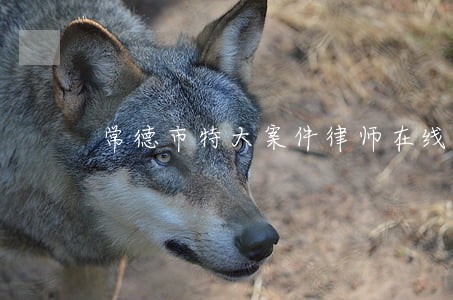 常德市特大案件律师在线咨询 常德市特大案件律师在线咨询