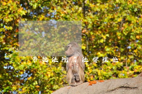 常德法院了法律理论 常德法院了法律理论