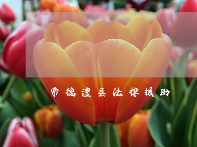 常德澧县法律援助 常德澧县法律援助