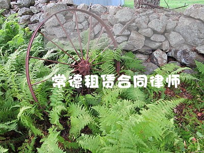 常德租赁合同律师 常德租赁合同律师