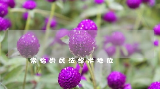 常怡的民法学术地位