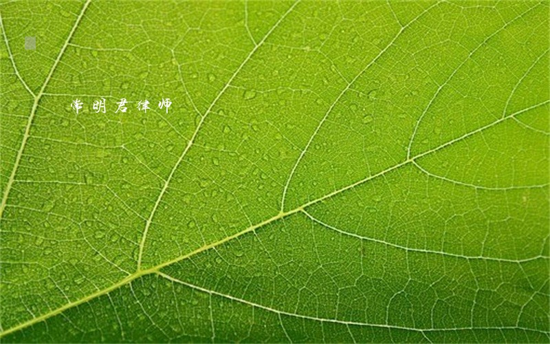 常明君律师 常明君律师