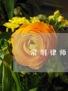 常明律师网 常明律师网
