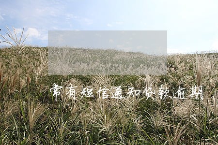 常有短信通知贷款逾期 常有短信通知贷款逾期