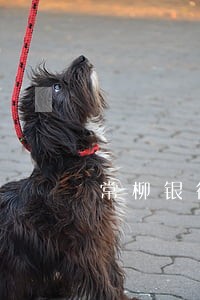 常柳银行信用卡逾期 常柳银行信用卡逾期