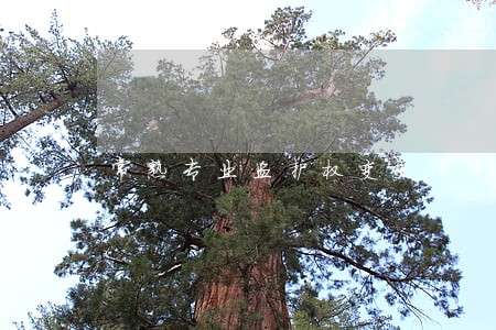常熟专业监护权变更律师服务热线 常熟专业监护权变更律师服务热线