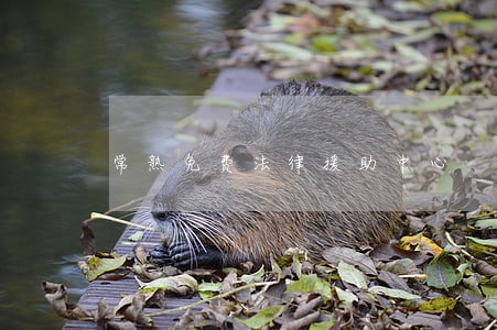 常熟免费法律援助中心 常熟免费法律援助中心