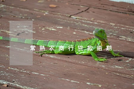 常熟农商行贷款逾期