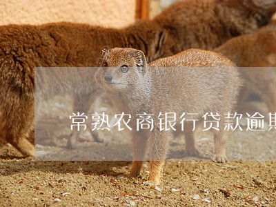 常熟农商银行贷款逾期9天 常熟农商银行贷款逾期9天
